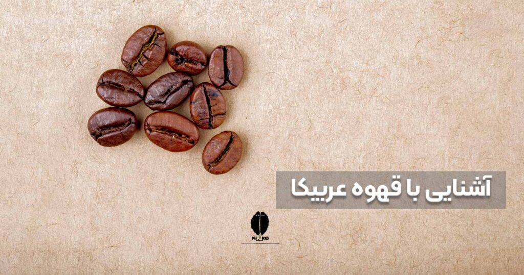 قهوه عربیکا چیست؟ | آشنایی با قهوه عربیکا