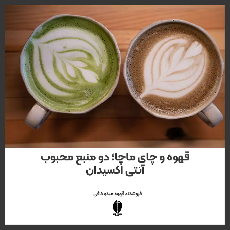 قهوه و چای ماچا؛ دو منبع محبوب آنتی اکسیدان