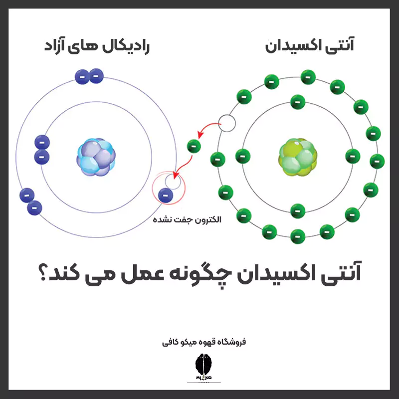 آنتی اکسیدان چگونه عمل می کند؟
