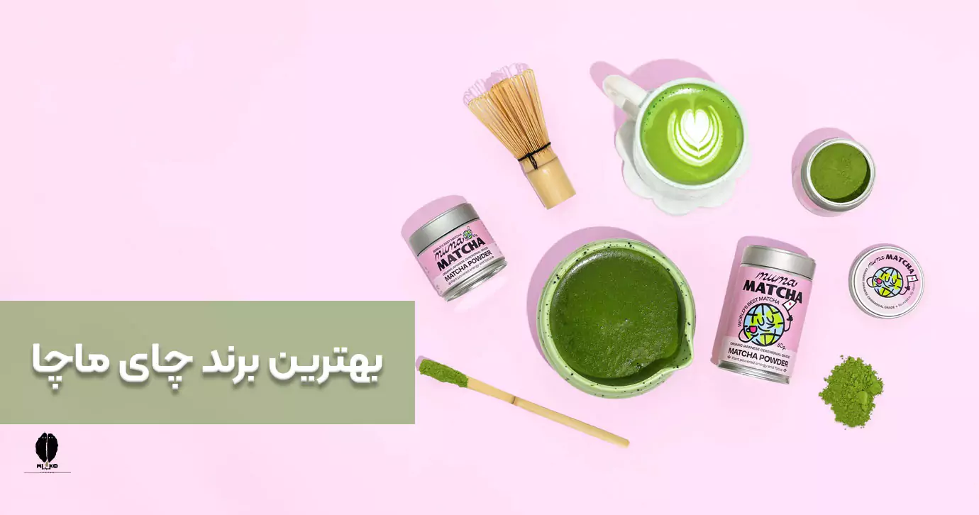 بهترین برند ماچا