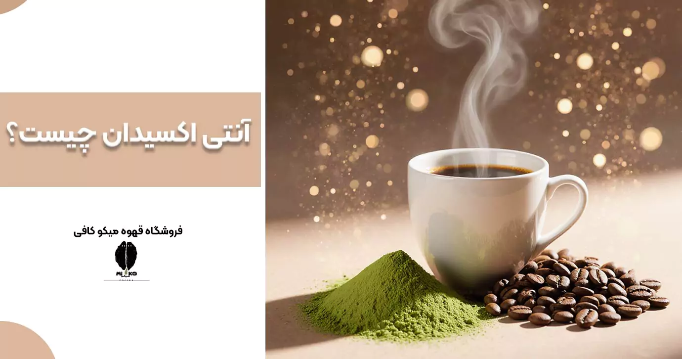 آنتی اکسیدان چیست