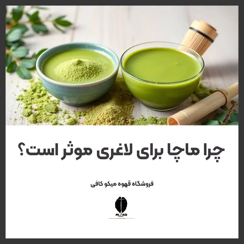 چرا ماچا برای لاغری موثر است؟